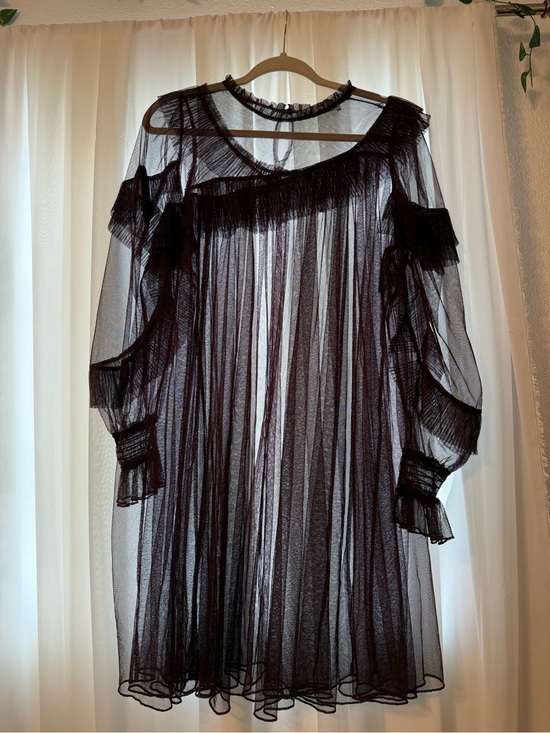 Zara Tops - Sheer Ruffled Mesh Dress - Burgundy